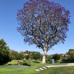 Meet your Posher, Andy